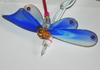 Dragonfly individual light_sml.jpg